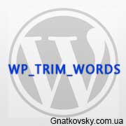wp_trim_words длина описания