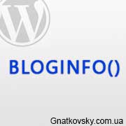 функция bloginfo